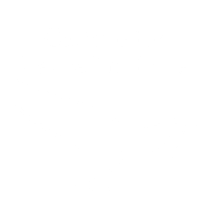 CULTURE FOR PEACE INSTITUTE